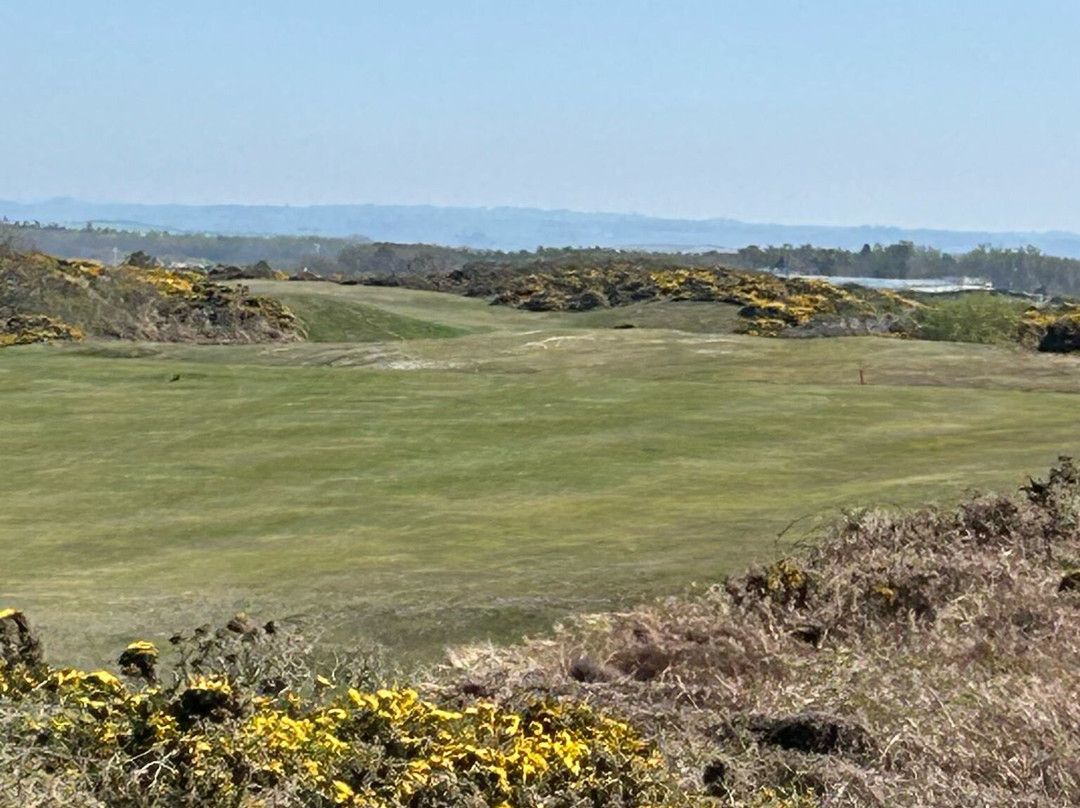 Holyhead Golf Club景点图片