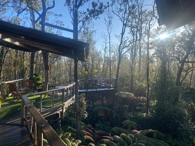 斯凯树屋酒店主图