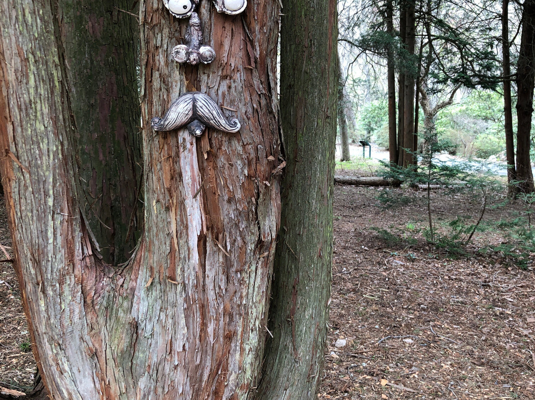 Bartlett Arboretum-斯坦福必去景点
