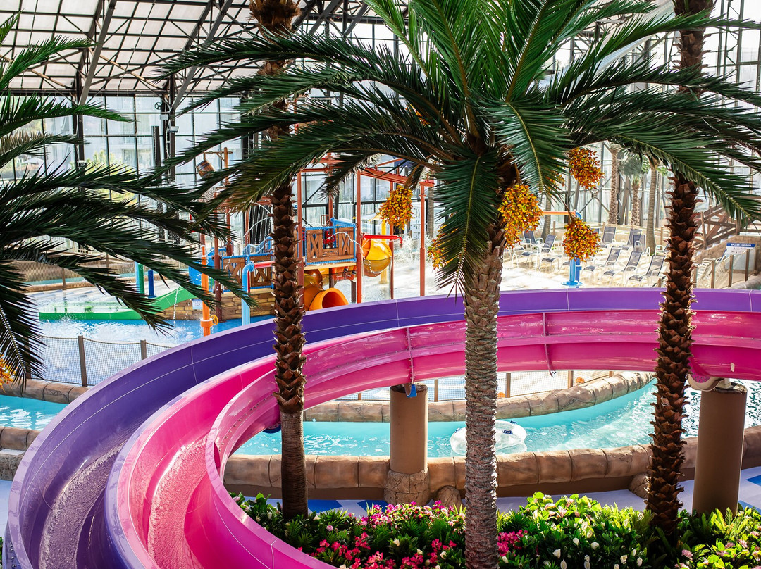 Aquapark Dalmatia景点图片