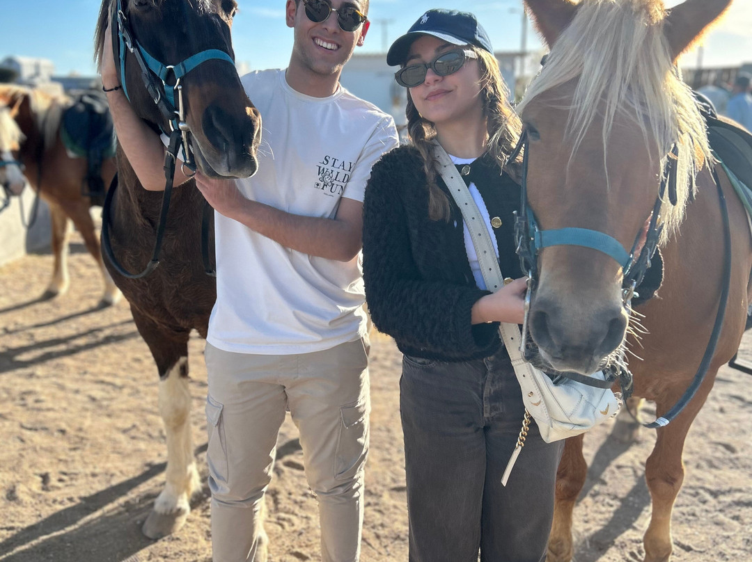 Efippos Horse Farm-维查德必去景点