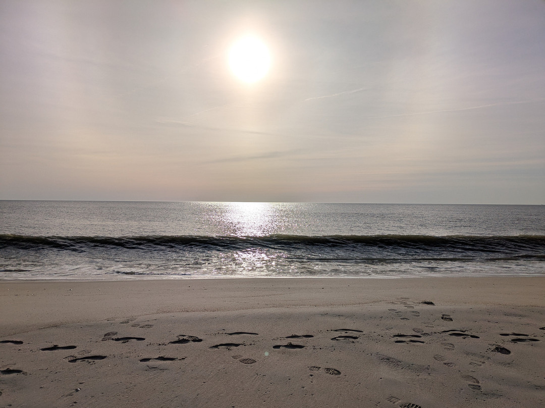 Surf Club Oceanfront Hotel & Beach House主图