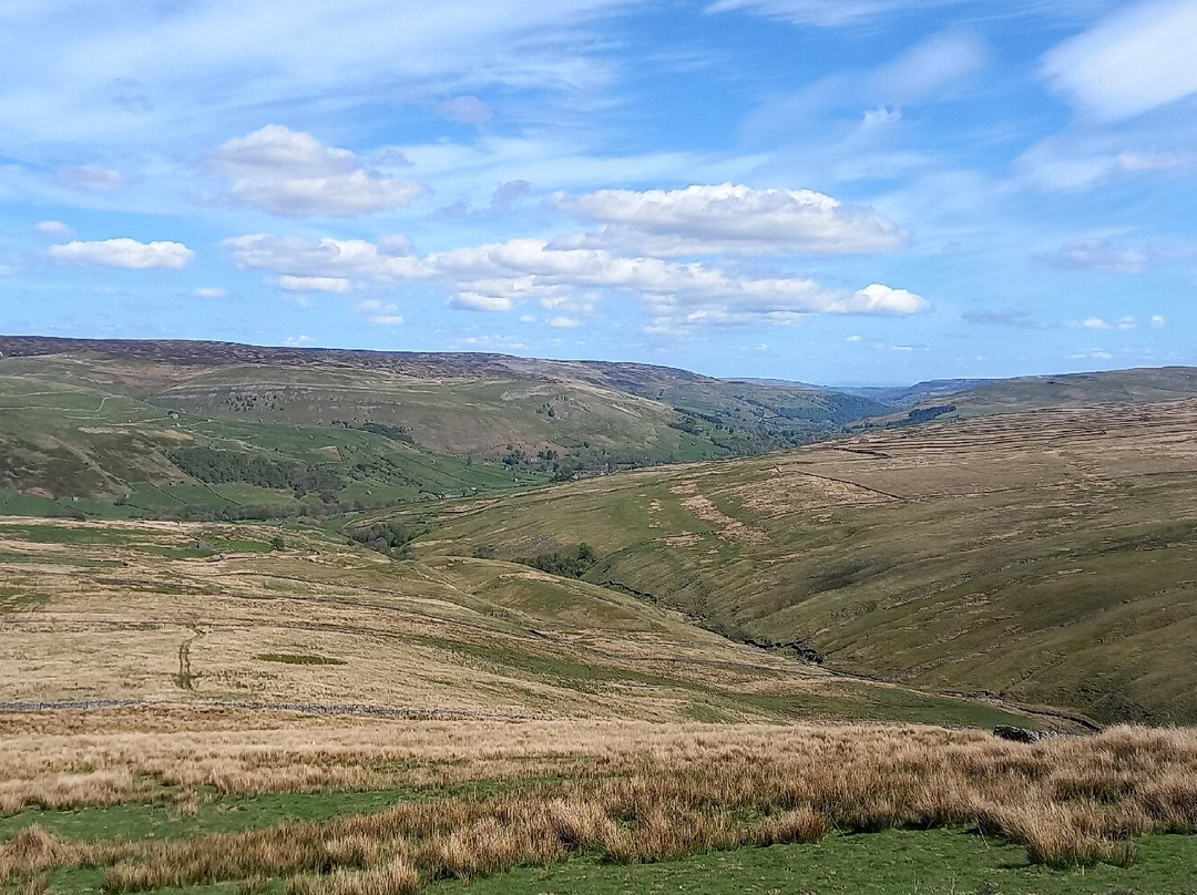 Buttertubs Pass景点图片
