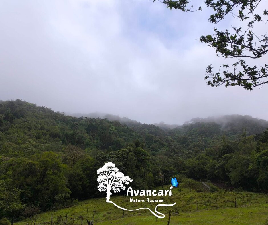 Avancarí Nature Reserve-蒙特沃德必去景点