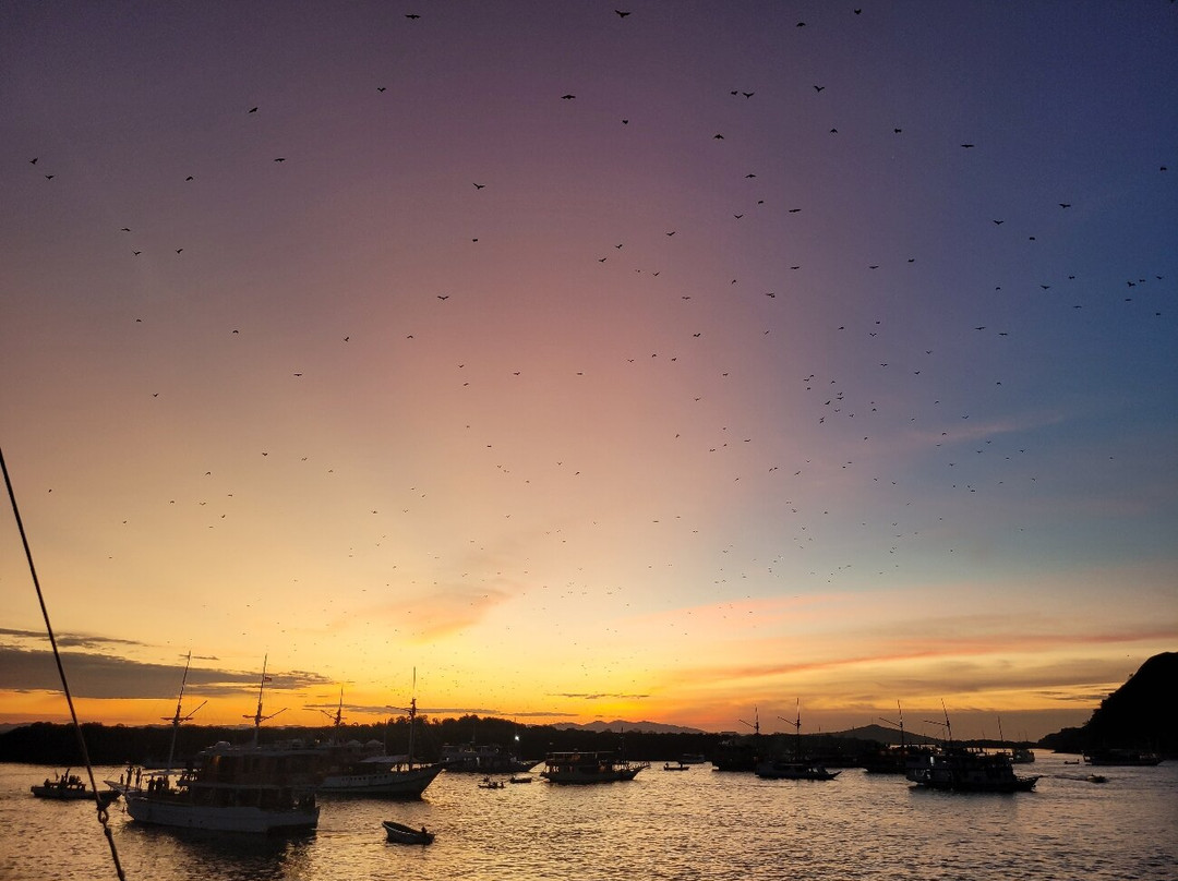 Kalong (Flying Foxes) Island景点图片