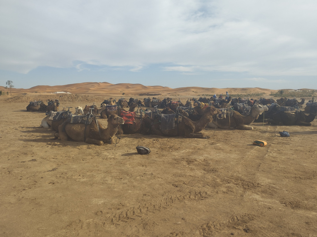 Merzouga Discovery Tours-马拉喀什必去景点