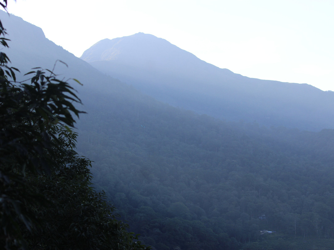 Blackberry Hills Munnar Nature Resort & Spa主图