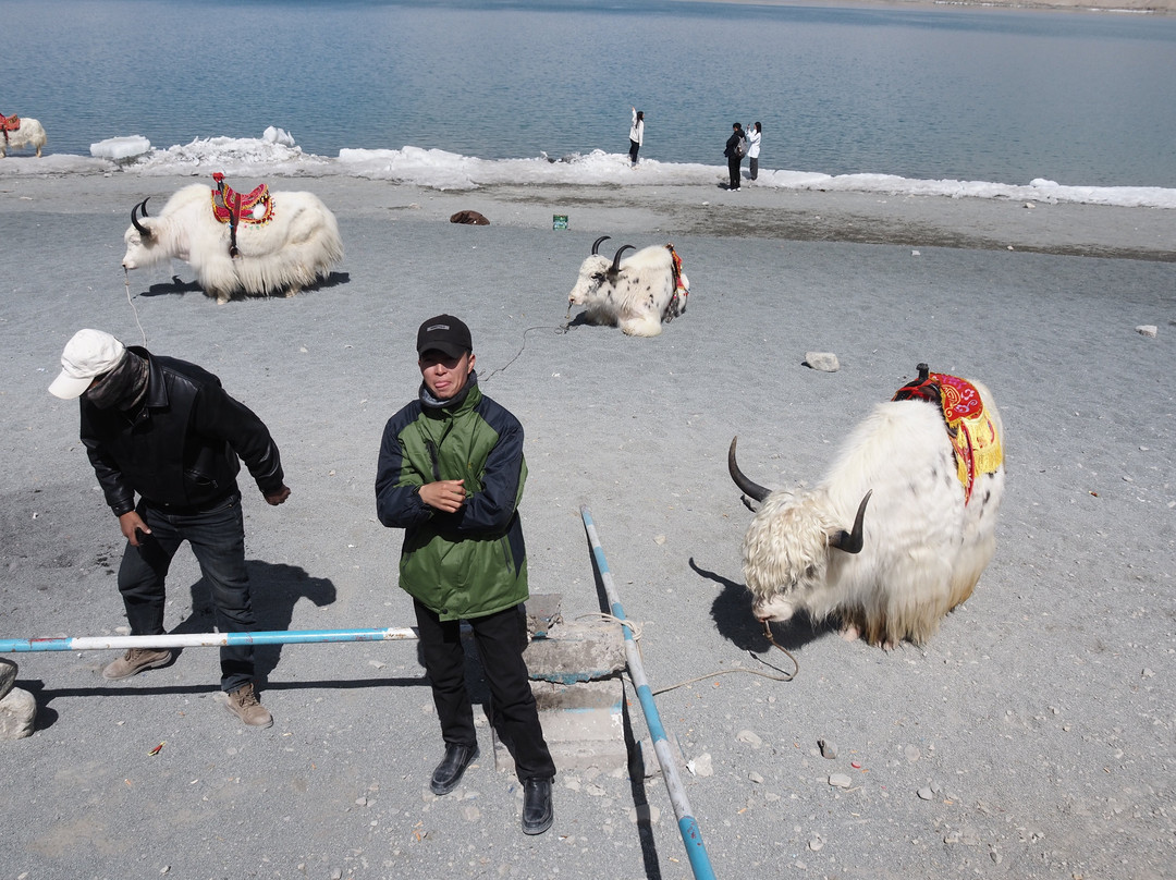 布伦口湖群湿地-喀什市必去景点