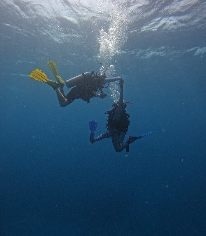 Aruba Bob Snorkel & Scuba-阿鲁巴岛必去景点