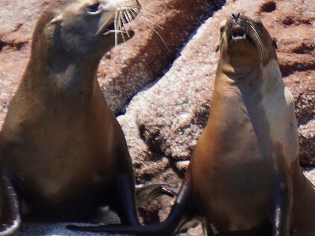 The Hook Experiences-拉巴斯必去景点