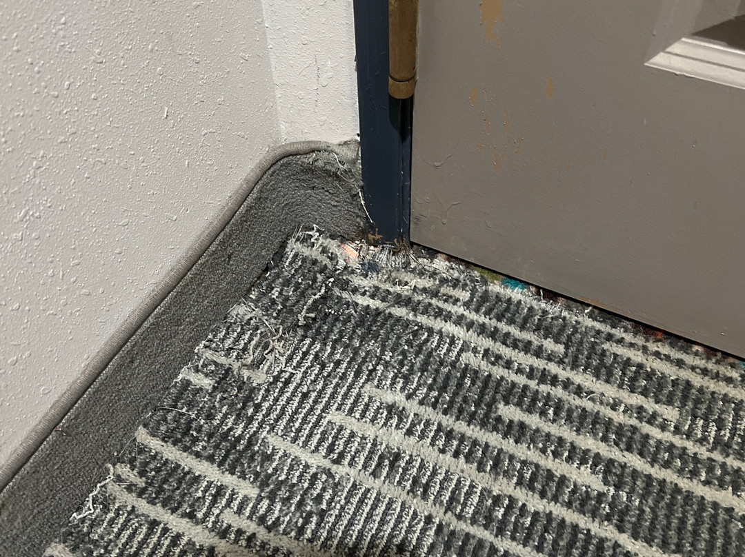 Country Inn & Suites by Radisson, Saraland, AL主图