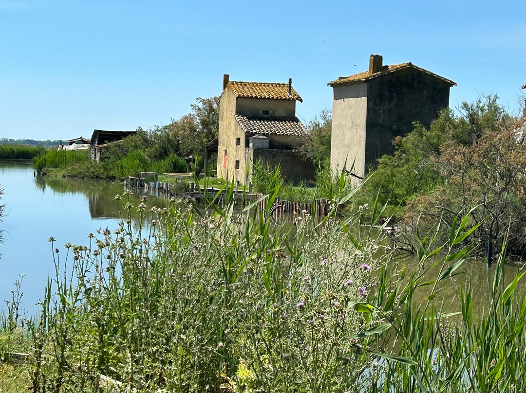 Les Attelages de Roncevaux-Lansargues必去景点
