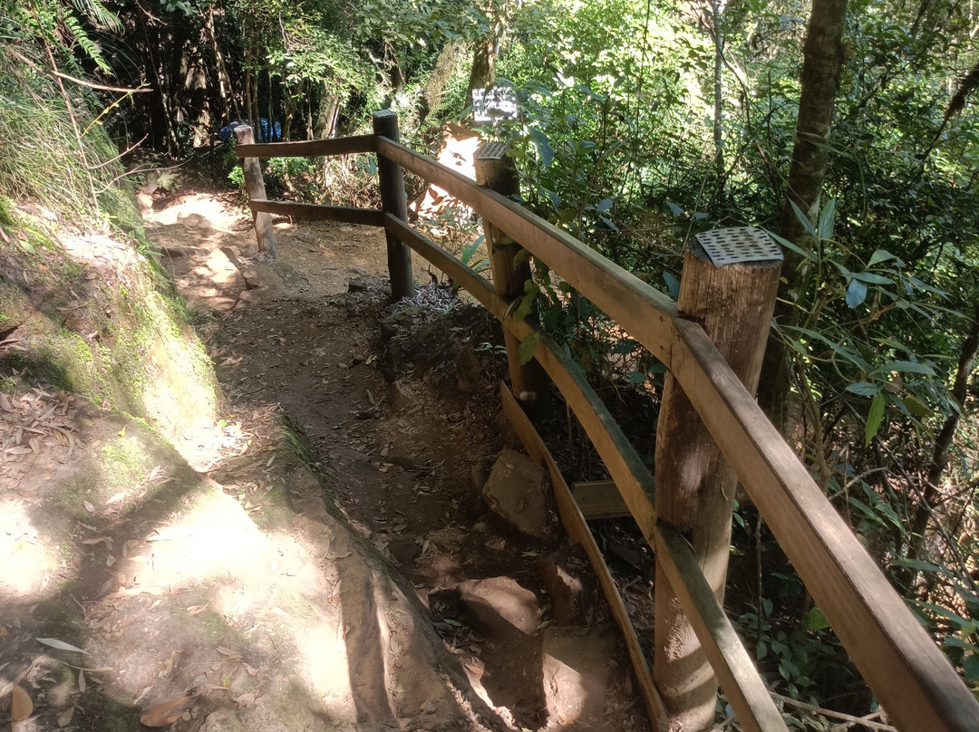 Lomba Alta Museum of Archaeology-Alfredo Wagner必去景点