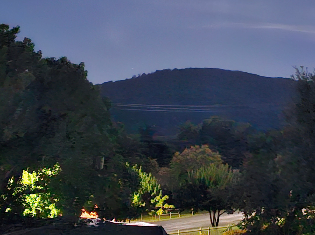 Hills Of Gold Motel主图