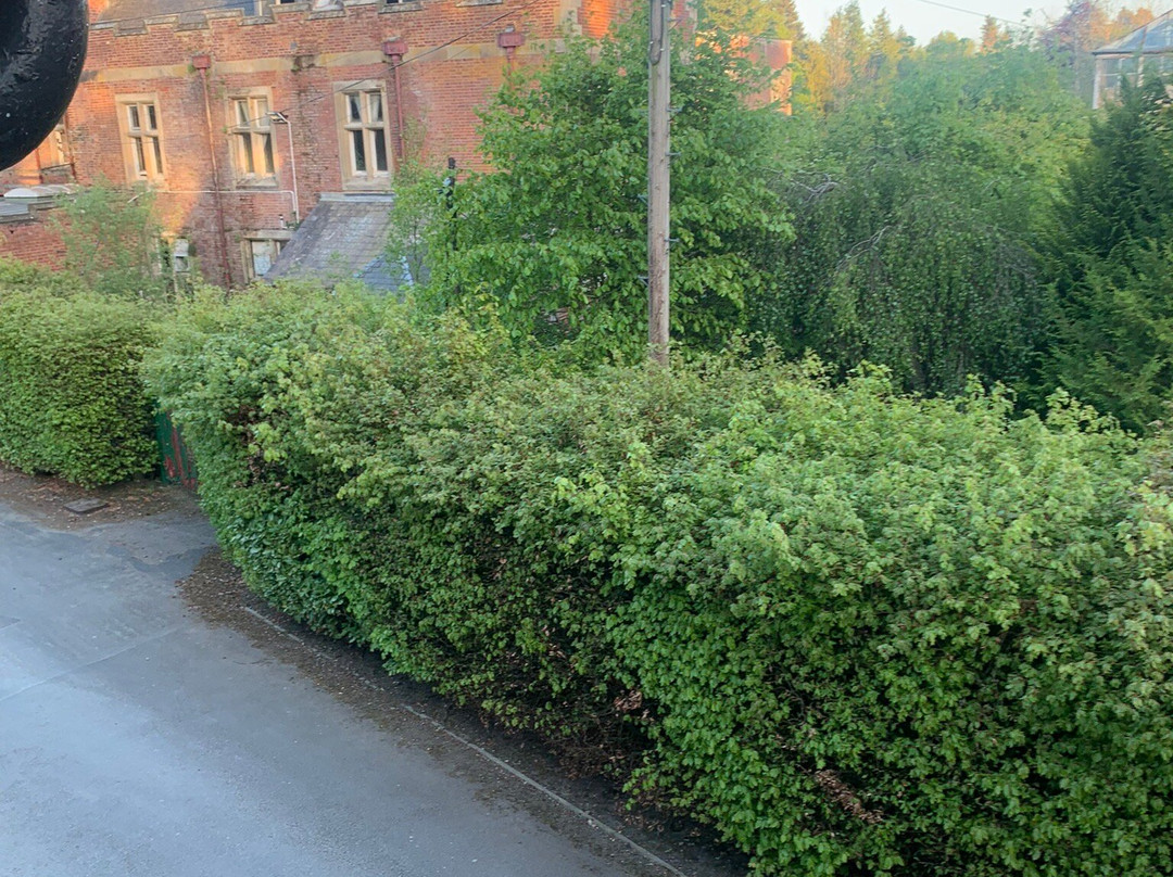 The Coach House主图