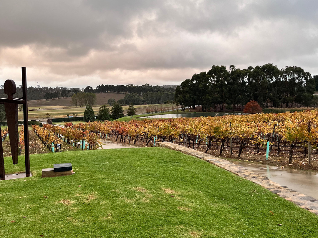 Cellar Door Tours-阿德莱德必去景点