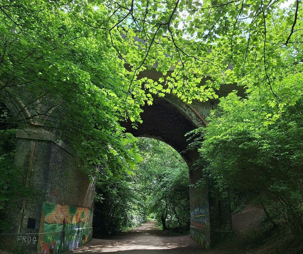 Linear Park-Bingham必去景点