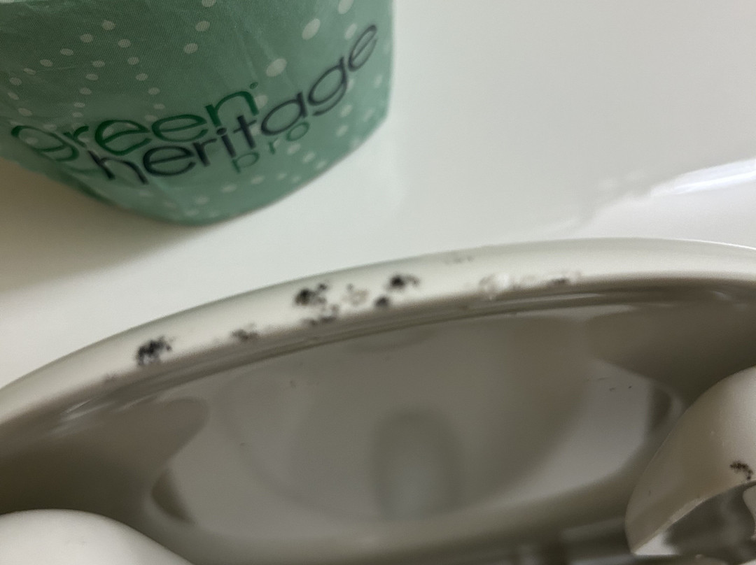 Suburban Extended Stay Hotel Cedar Falls主图