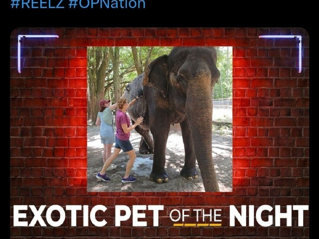 Two Tails Ranch: All About Elephants-Williston必去景点