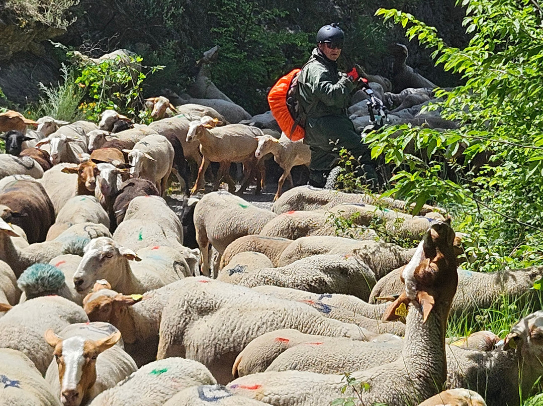 Go Fun-尼斯必去景点