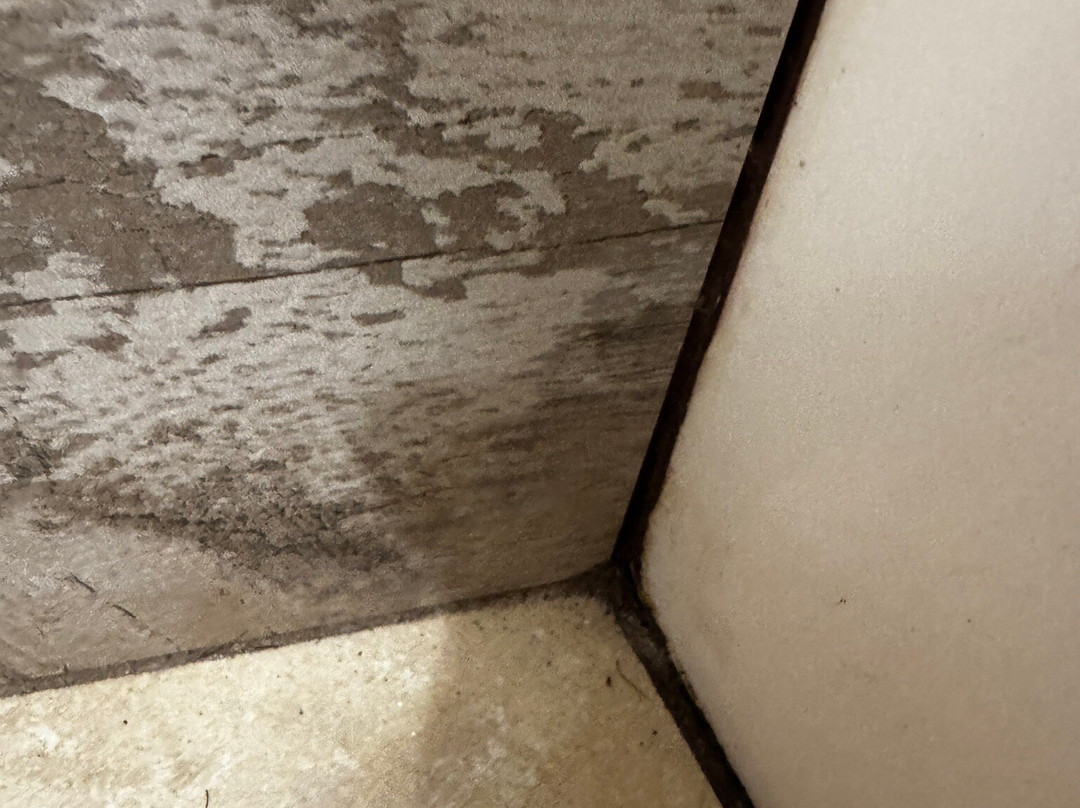 Best Western Logan Inn主图