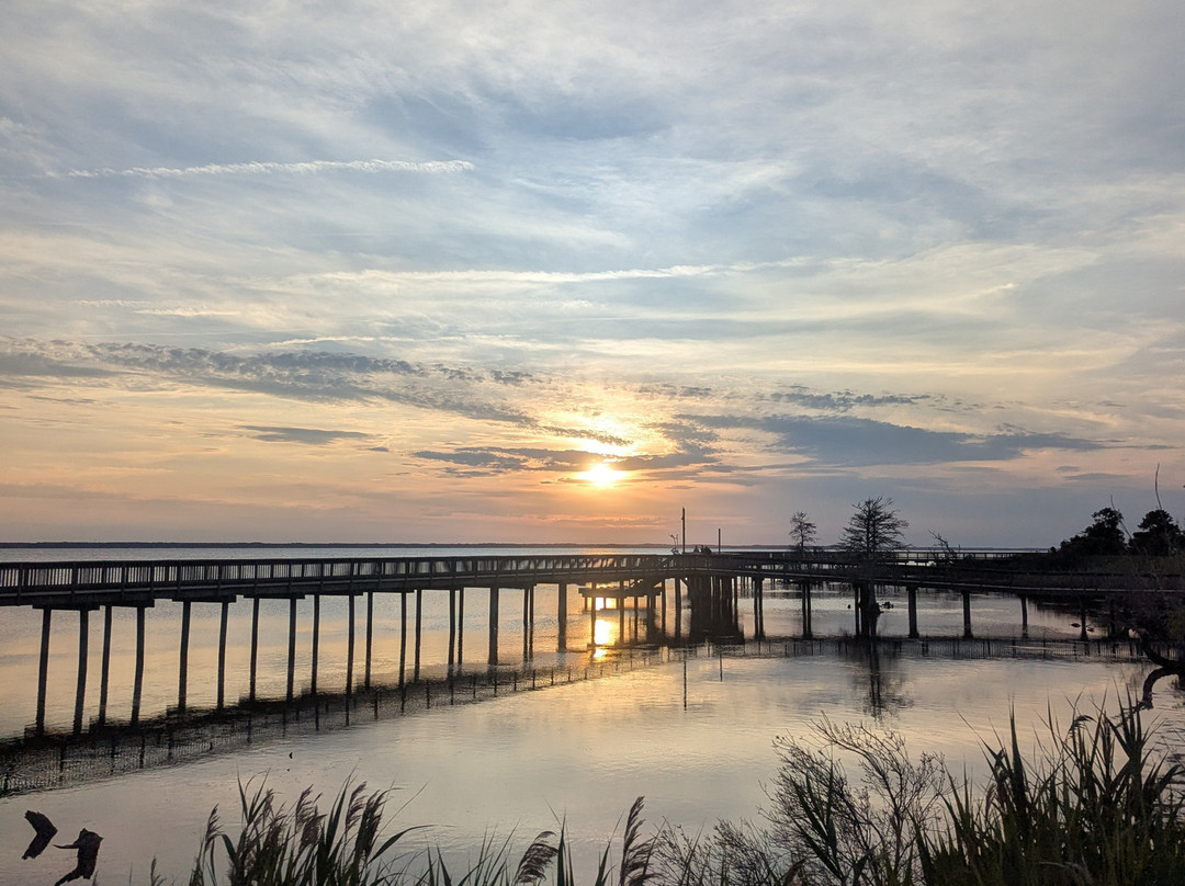 Duck Town Park Boardwalk-Duck必去景点