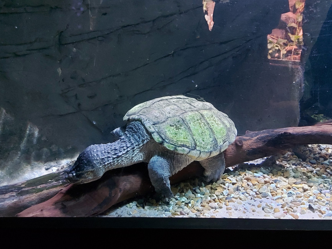St Andrews Aquarium-圣安德鲁斯必去景点
