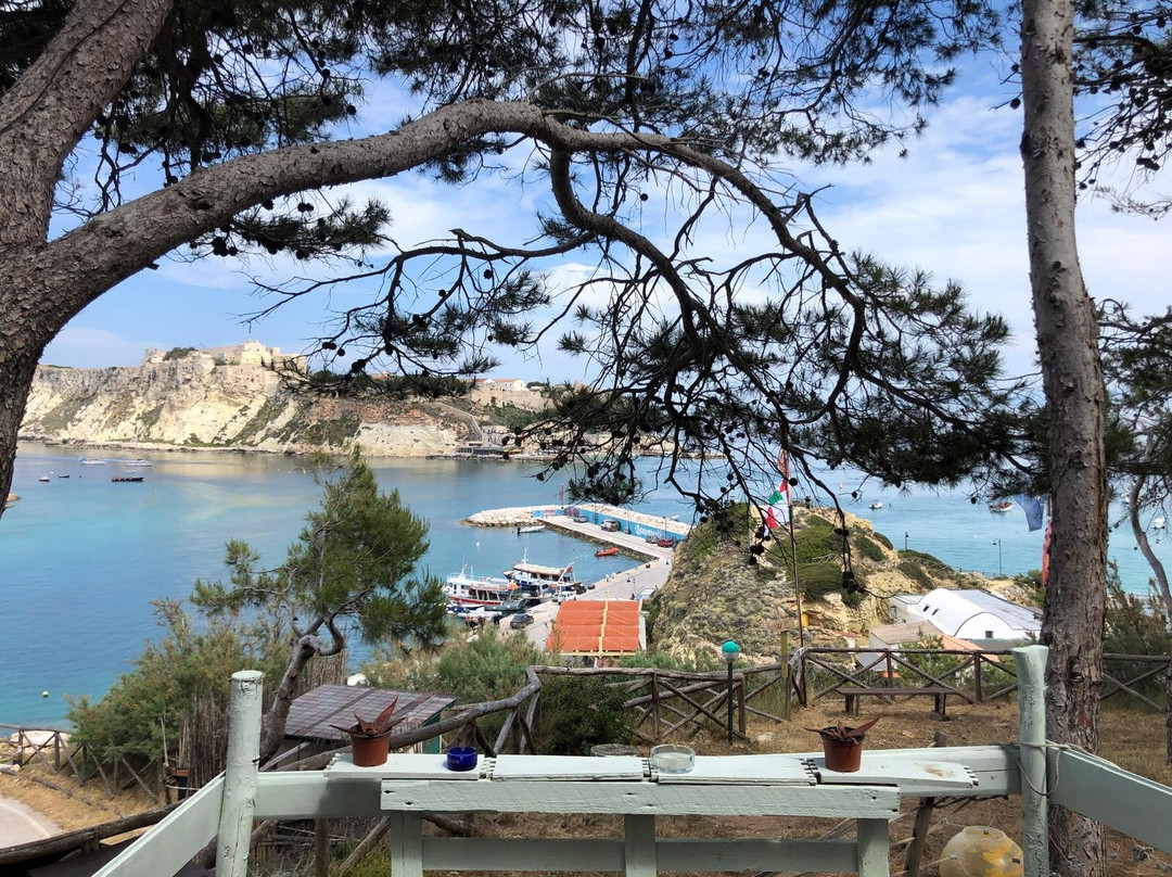 B&B Aura