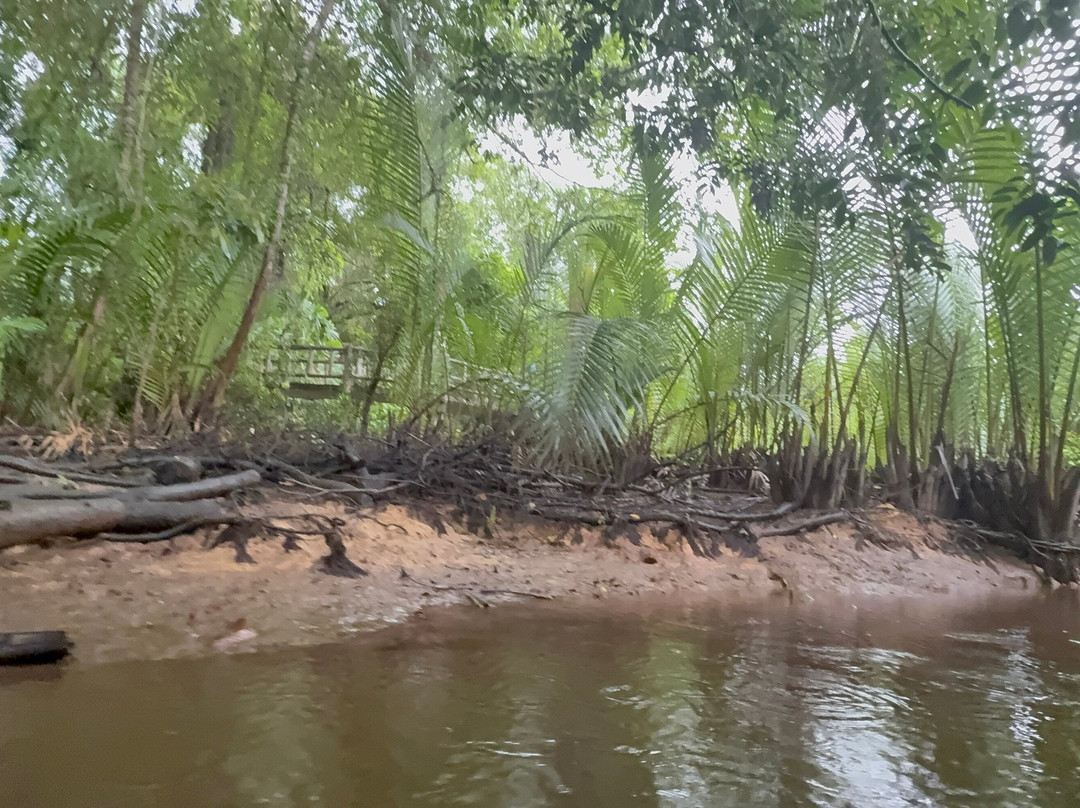 The Little Amazon景点图片