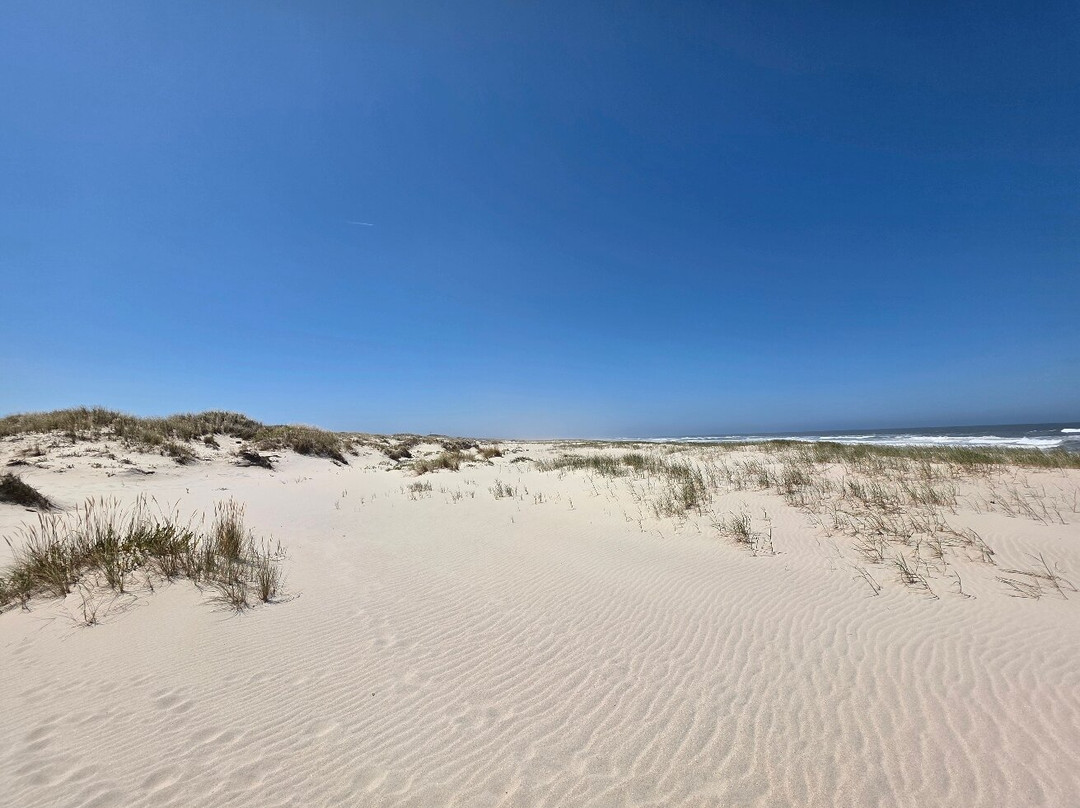 Reserva Natural das Dunas de Sao Jacinto景点图片
