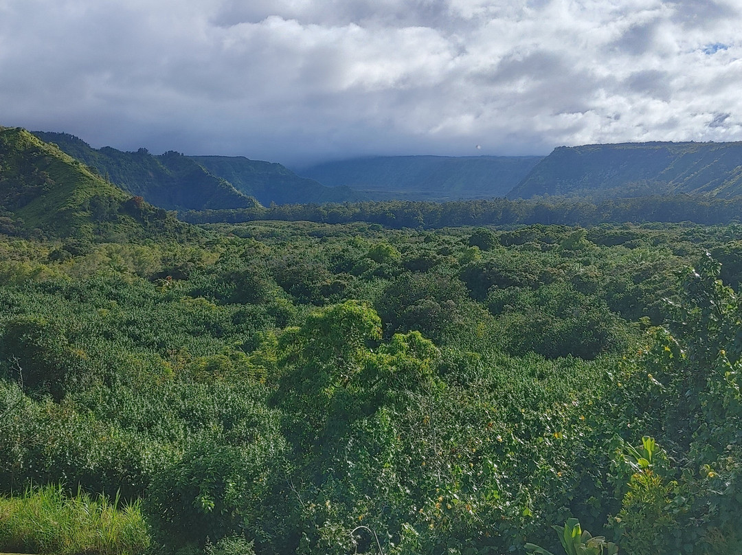 Hawaii Tours景点图片
