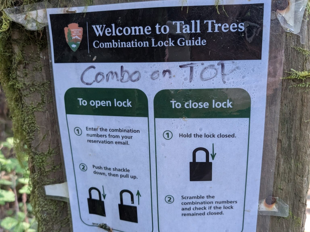 Tall Trees Grove-红木国家公园必去景点