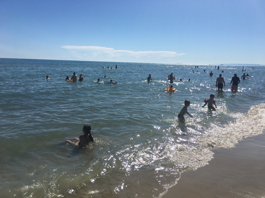 Plage de l’Espiguette-勒格罗迪鲁瓦必去景点