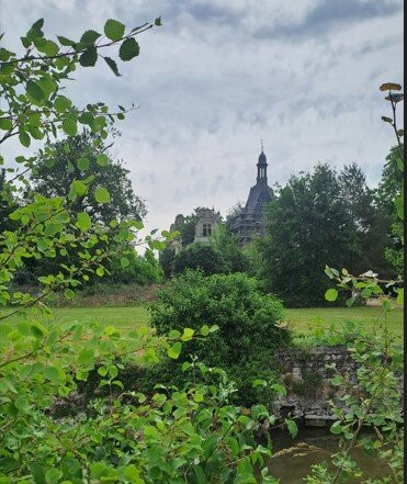 Château de la Mothe Chandeniers景点图片