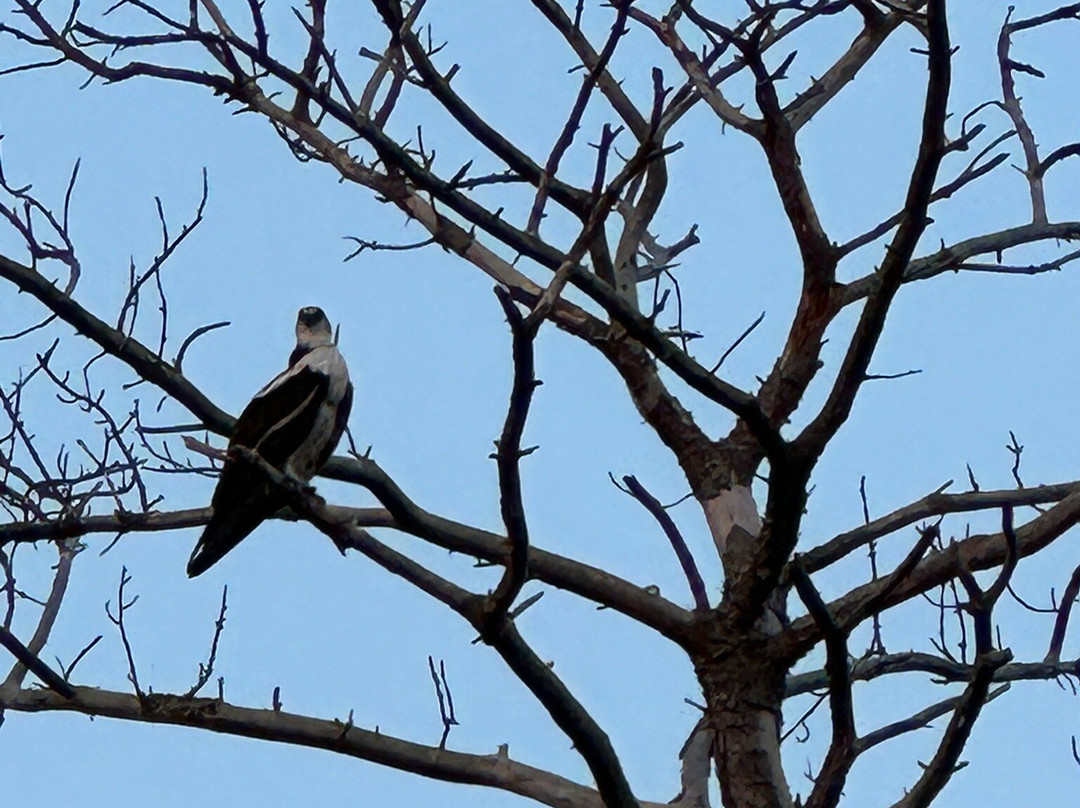 Sand Dollar Cruises-Dewey Beach必去景点