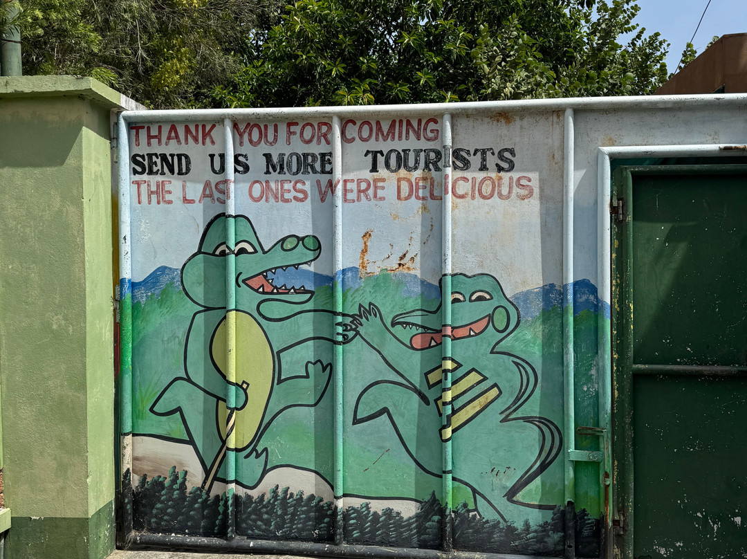 Jamaica Swamp Safari Village-法尔茅斯必去景点