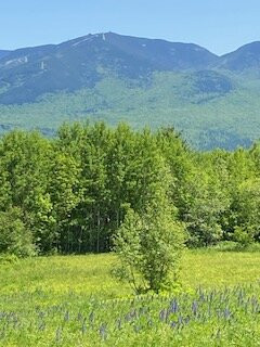 Cannon Mountain-弗朗科尼亚必去景点