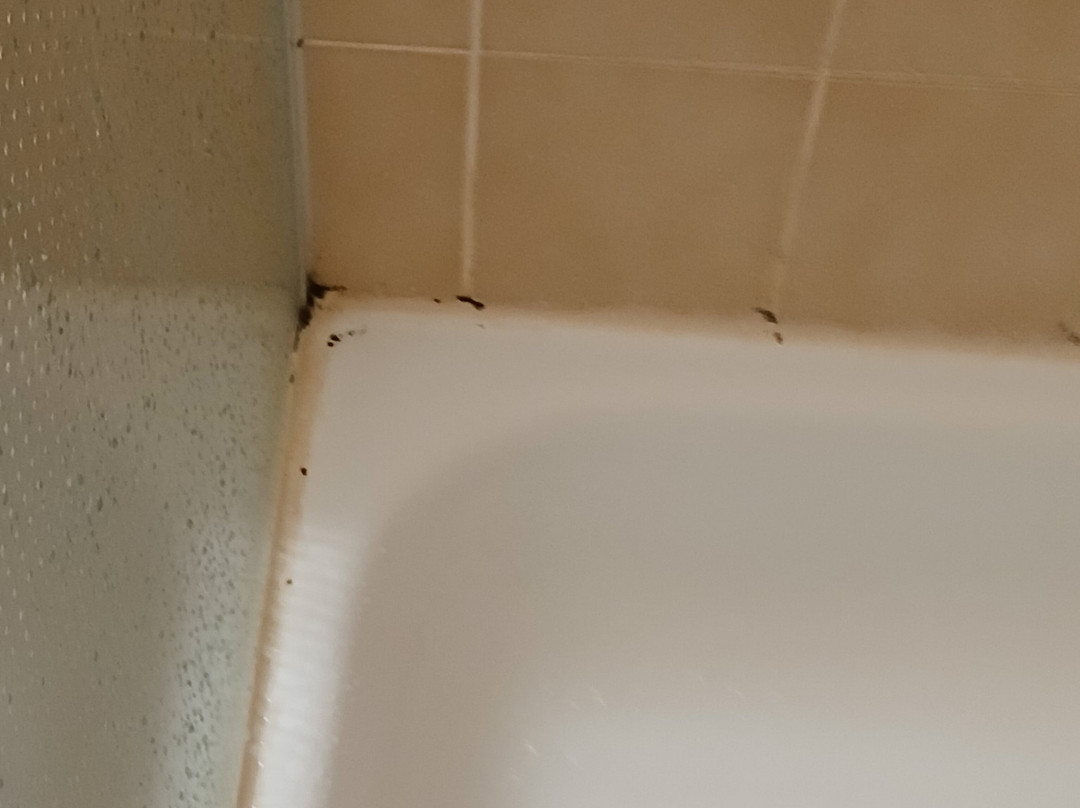 Hotel Fallerhof主图