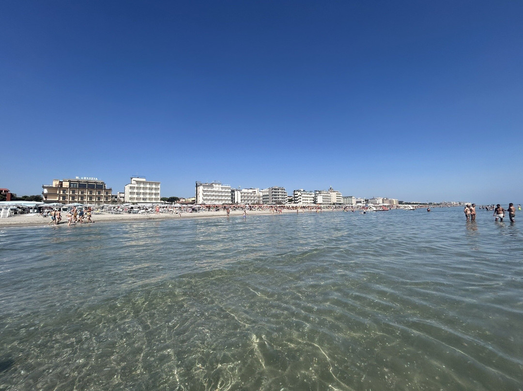 Oscar Spiaggia 298景点图片