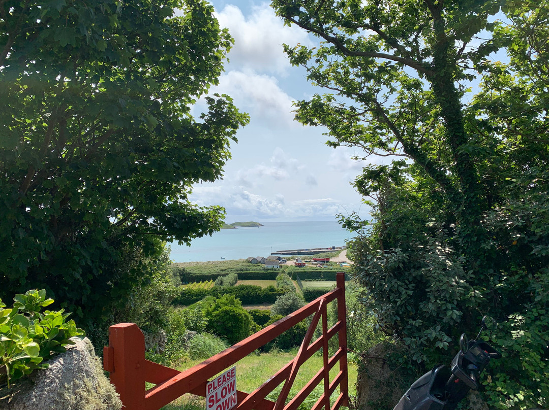 Greenlaws Guest House主图