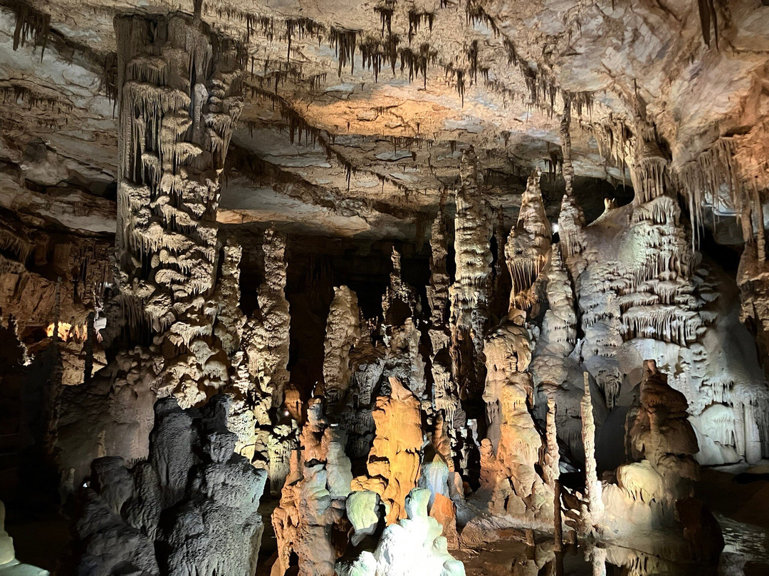 Cathedral Caverns State Park景点图片