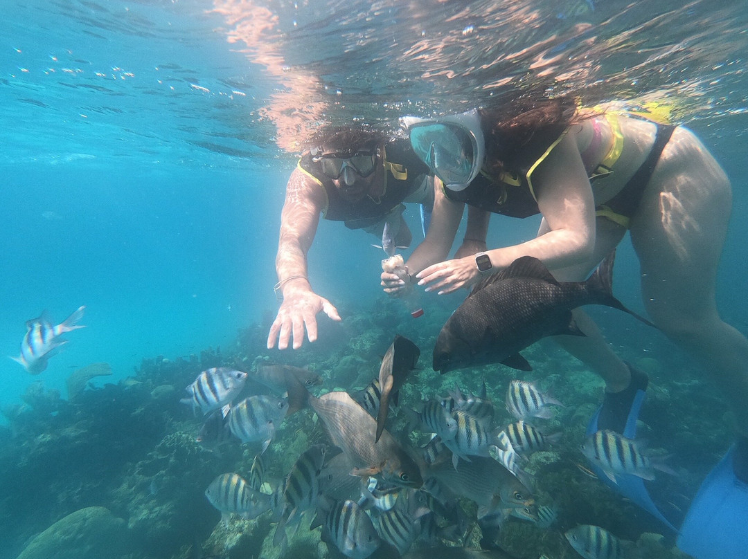 Snorkeling Tour Varadero景点图片