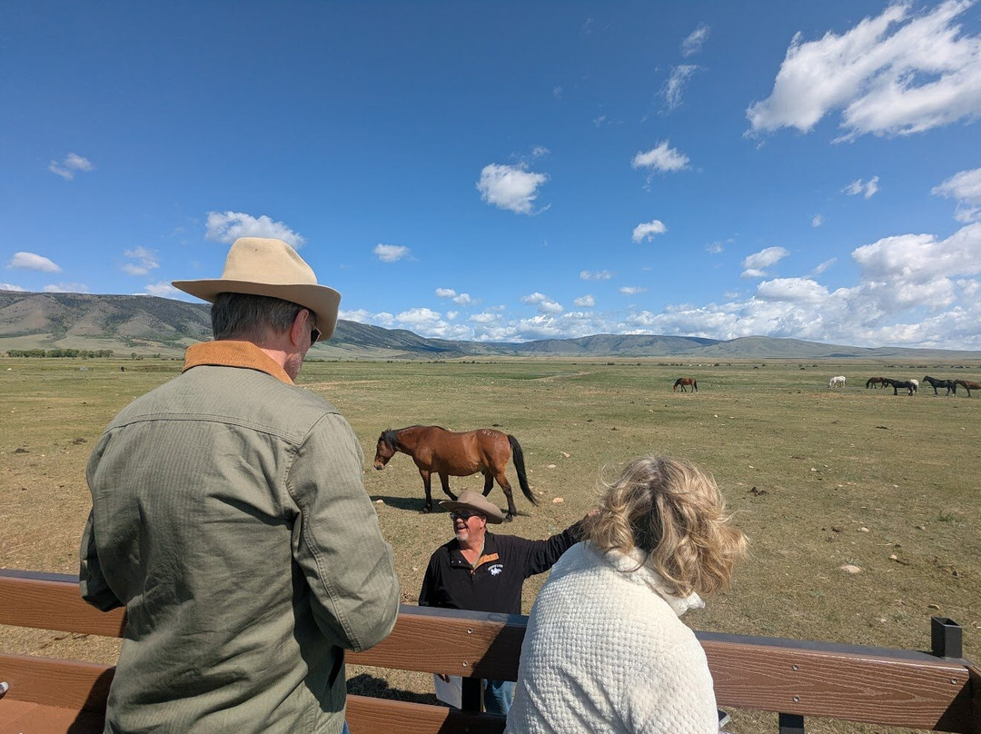 Deerwood Ranch Wild Horse EcoSanctuary景点图片