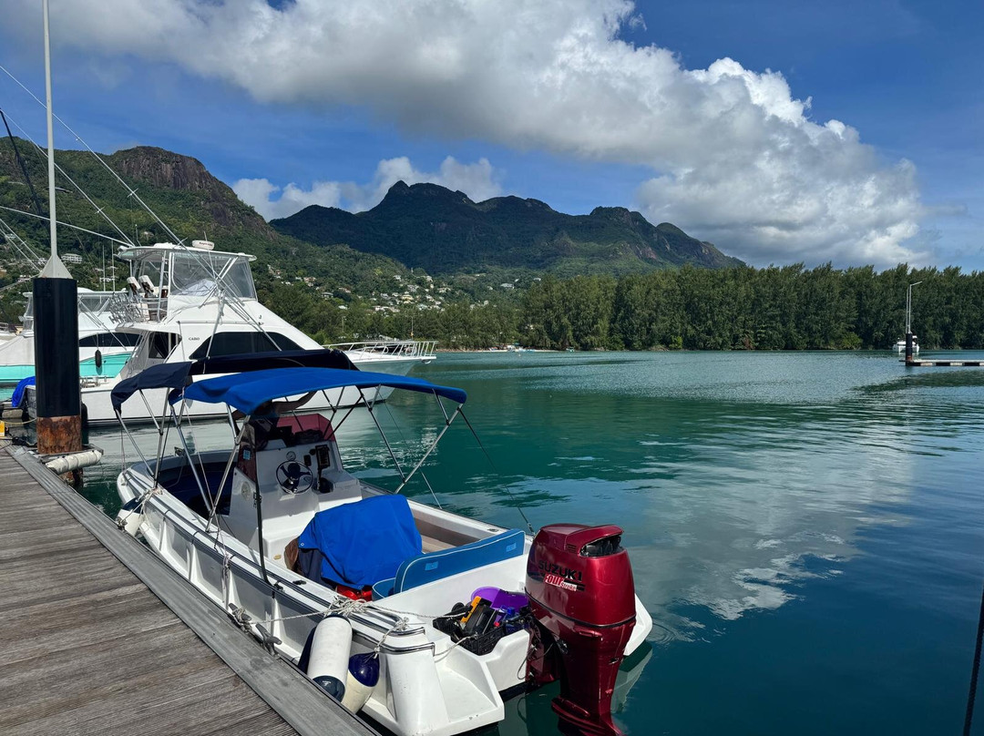 Rocco Locco Boat Charter & Tour-伊甸岛必去景点
