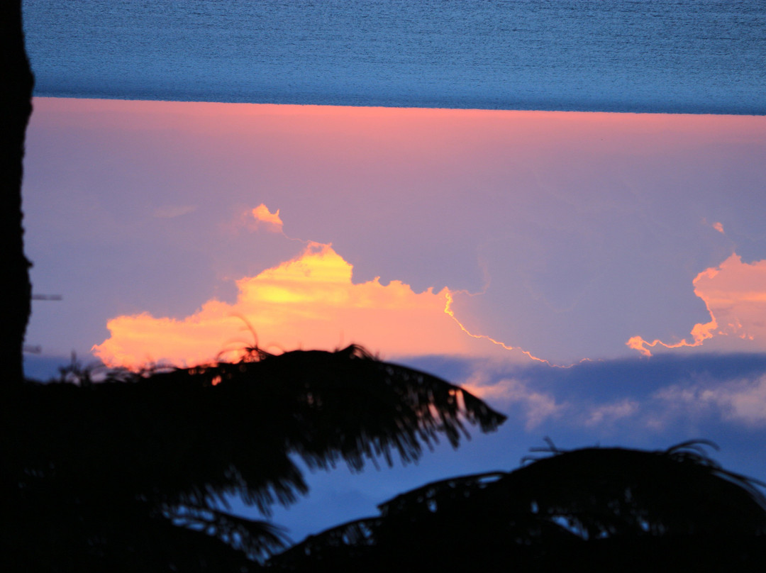 鹦鹉螺酒店主图