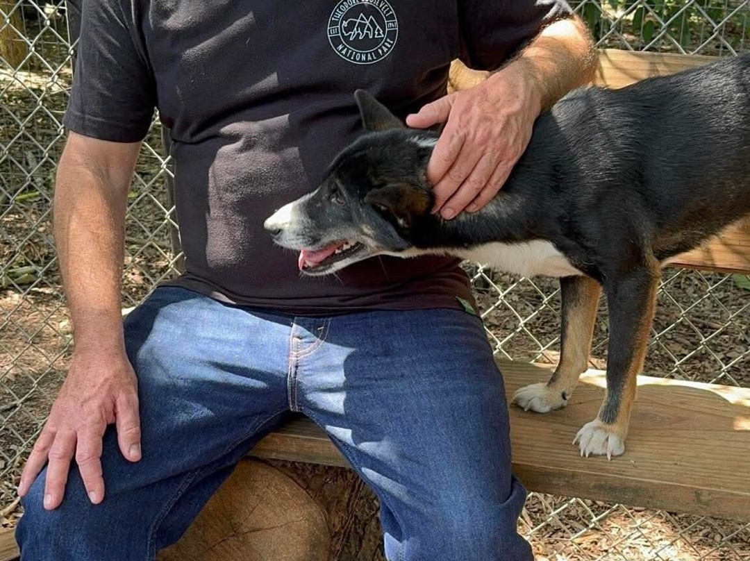 Wild Animal Adventure-斯坦顿必去景点