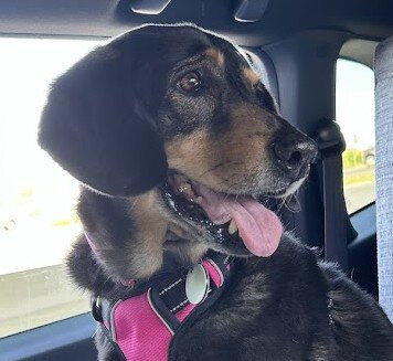 Cousin's Country Inn主图