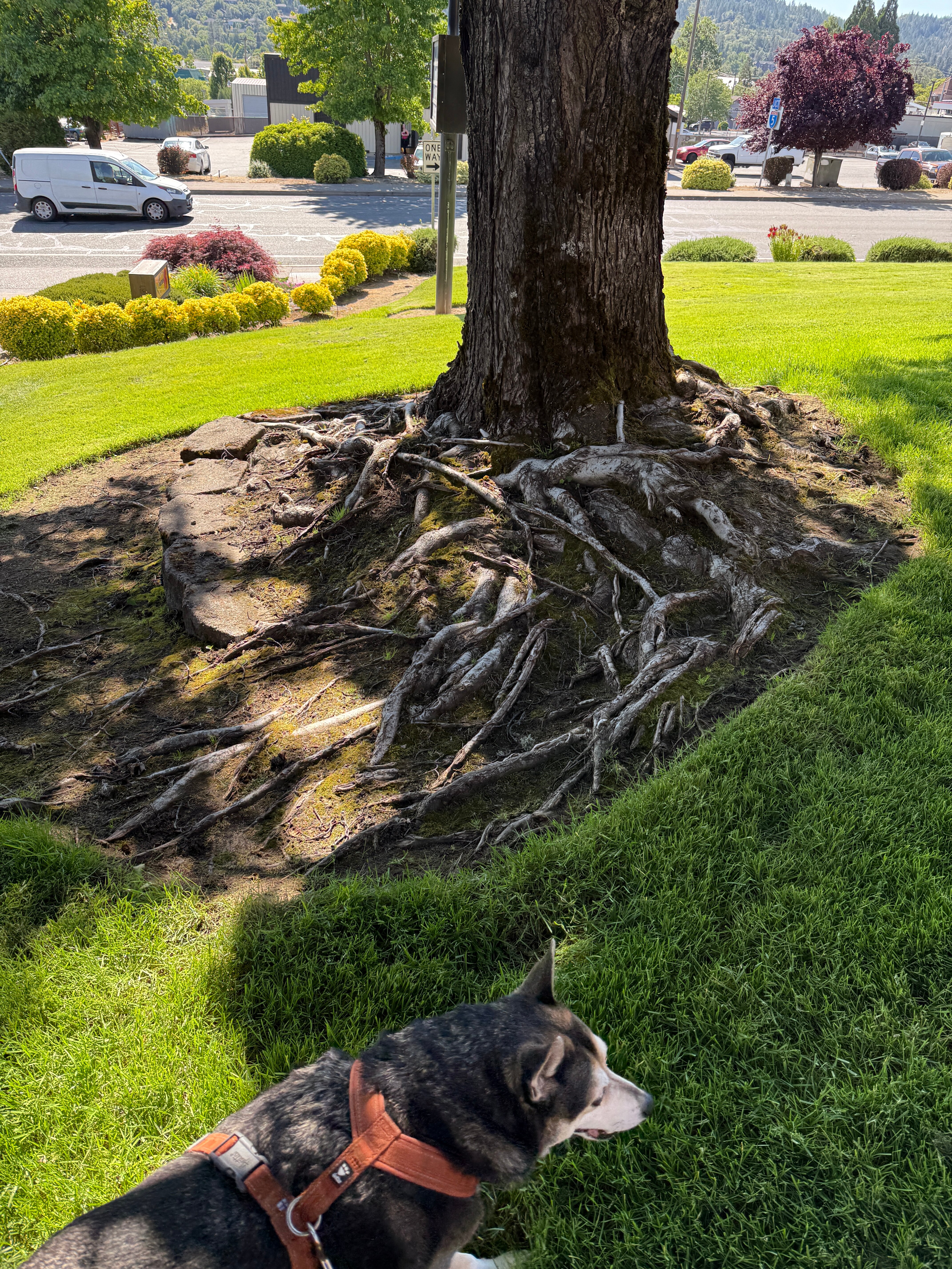 格兰茨帕斯速8汽车旅馆-浴室