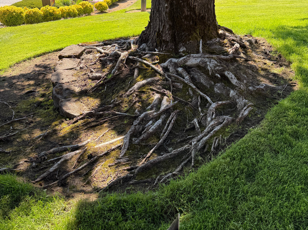 格兰茨帕斯速8汽车旅馆主图