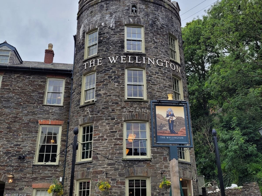 The Wellington Boscastle